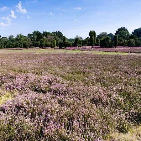 게스트하우스 Forstgut Einem